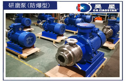 防爆直聯(lián)式研磨泵1.jpg